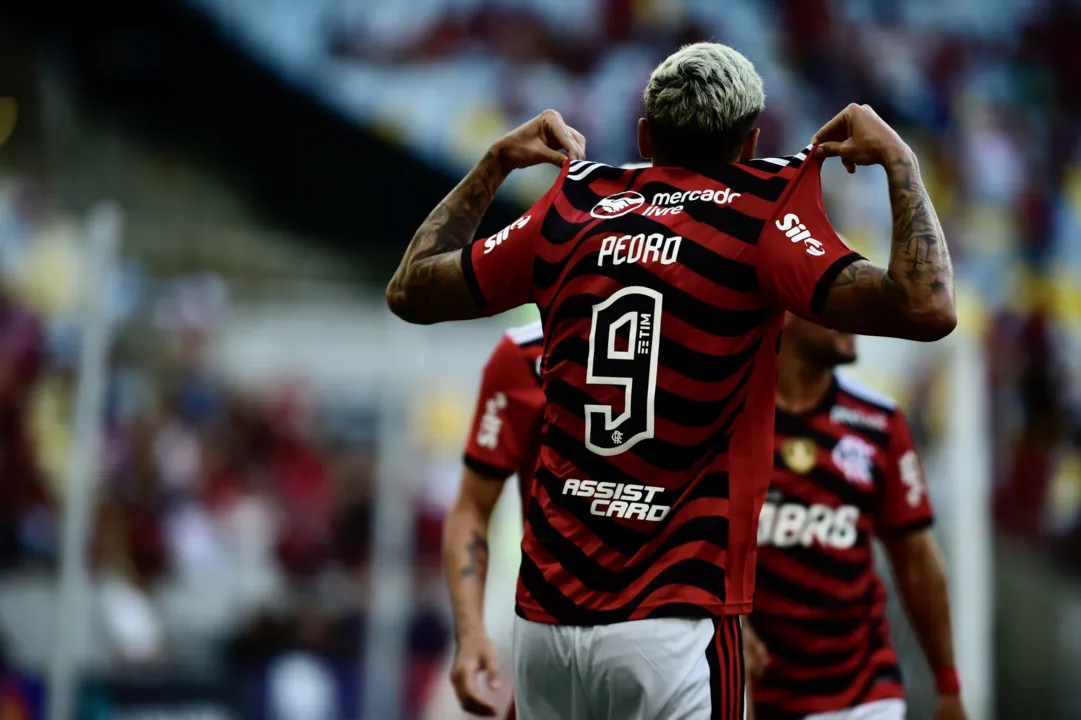 Imagem ilustrativa da imagem Pedro faz golaço de peito e Flamengo goleia Portuguesa-RJ
