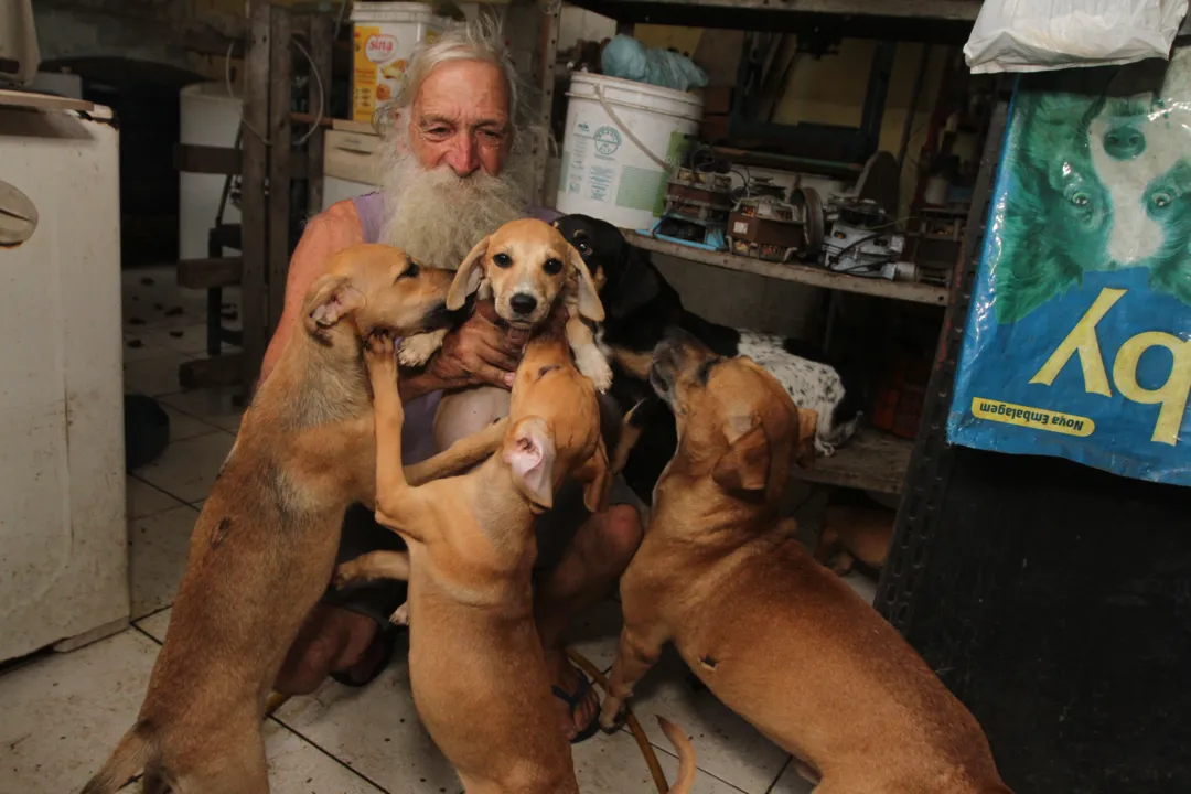 Imagem ilustrativa da imagem Moradores da Grande Vitória cobram serviço para recolher cães e gatos