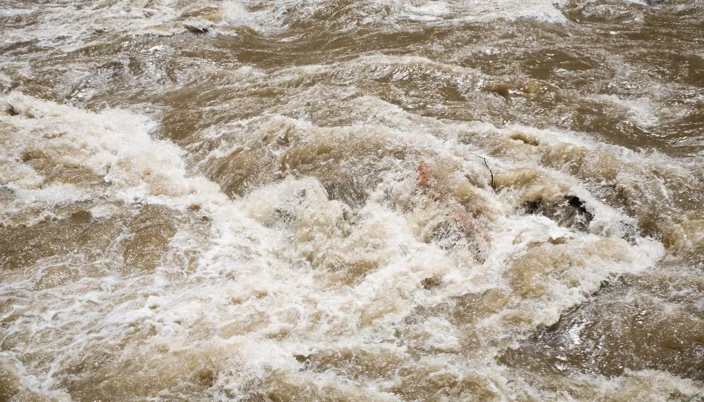 Imagem ilustrativa da imagem Chuva forte deixa um morto por afogamento em São Paulo