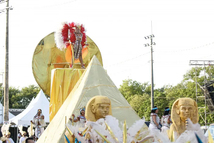 Imagem ilustrativa da imagem Veja como foi o desfile da Unidos de Barreiros