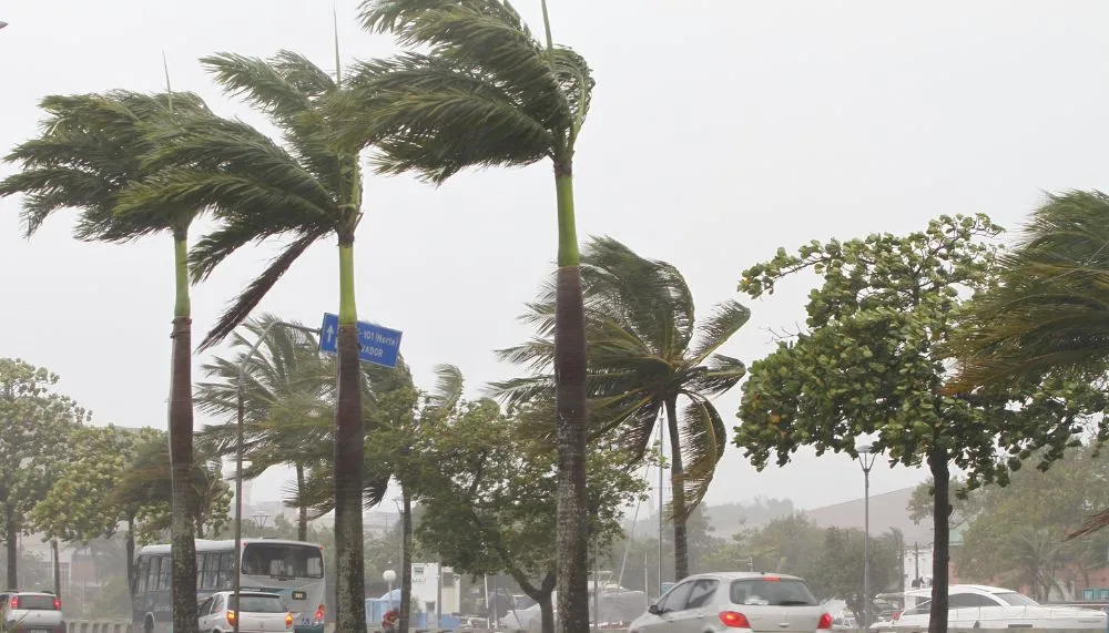 Imagem ilustrativa da imagem ES recebe alertas de chuva forte e ventos de até 100 km/h