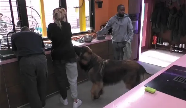Imagem ilustrativa da imagem Mulher chora por não poder interagir com seu cão no Big Brother Holanda