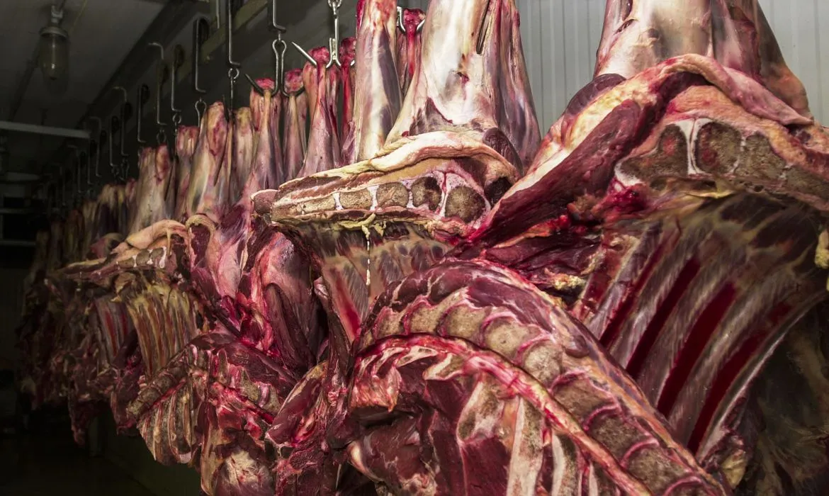 Imagem ilustrativa da imagem China suspende embargo à carne bovina brasileira