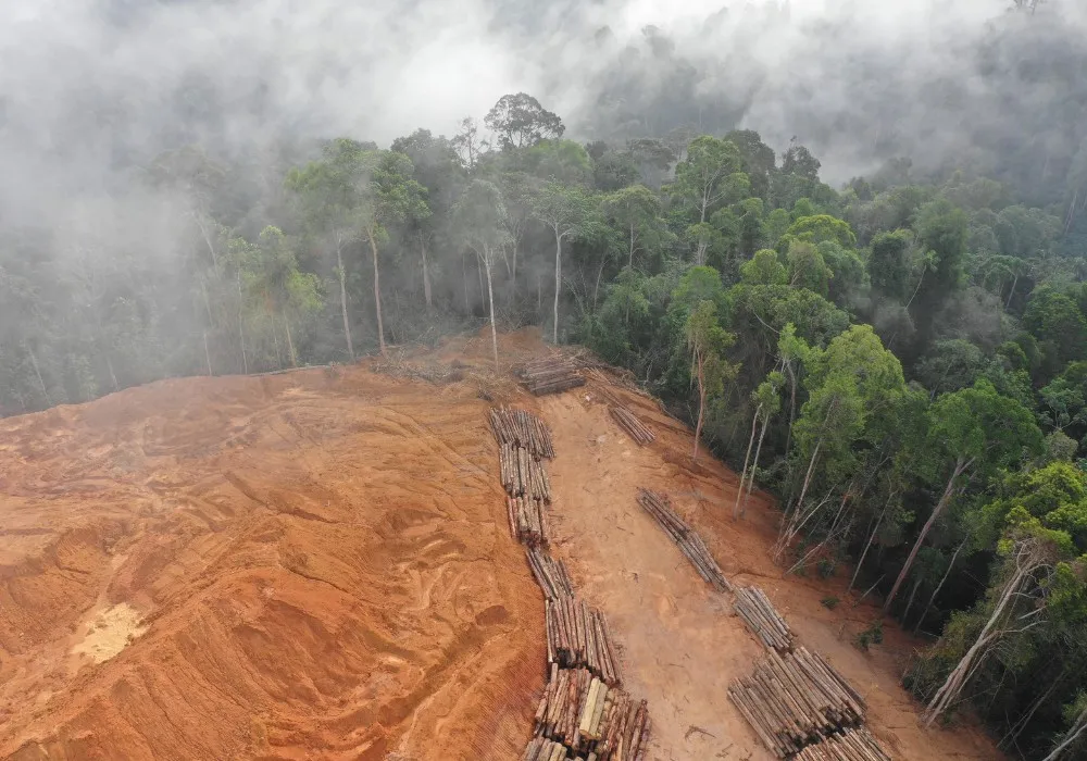 Imagem ilustrativa da imagem Brasil registra alta na emissão de gases de efeito estufa