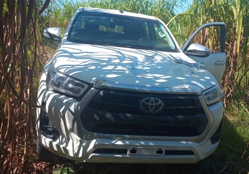 Imagem ilustrativa da imagem Picape roubada em Vila Velha é encontrada pela Polícia em um matagal