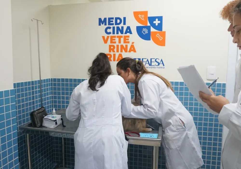 Imagem ilustrativa da imagem Cirurgias e exames mais baratos para pets