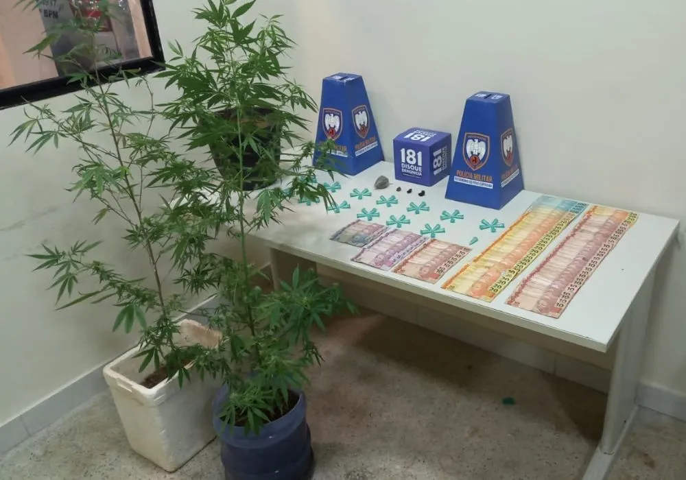 Imagem ilustrativa da imagem Pés de maconha são apreendidos em casas de Guarapari