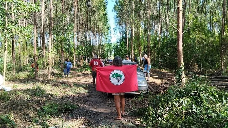 Imagem ilustrativa da imagem MST ocupa fazenda da Suzano no Espírito Santo