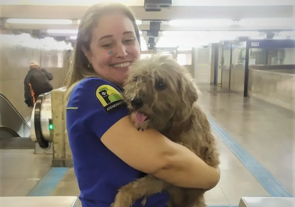 Imagem ilustrativa da imagem Linha do metrô em SP é paralisada para resgate de cachorro