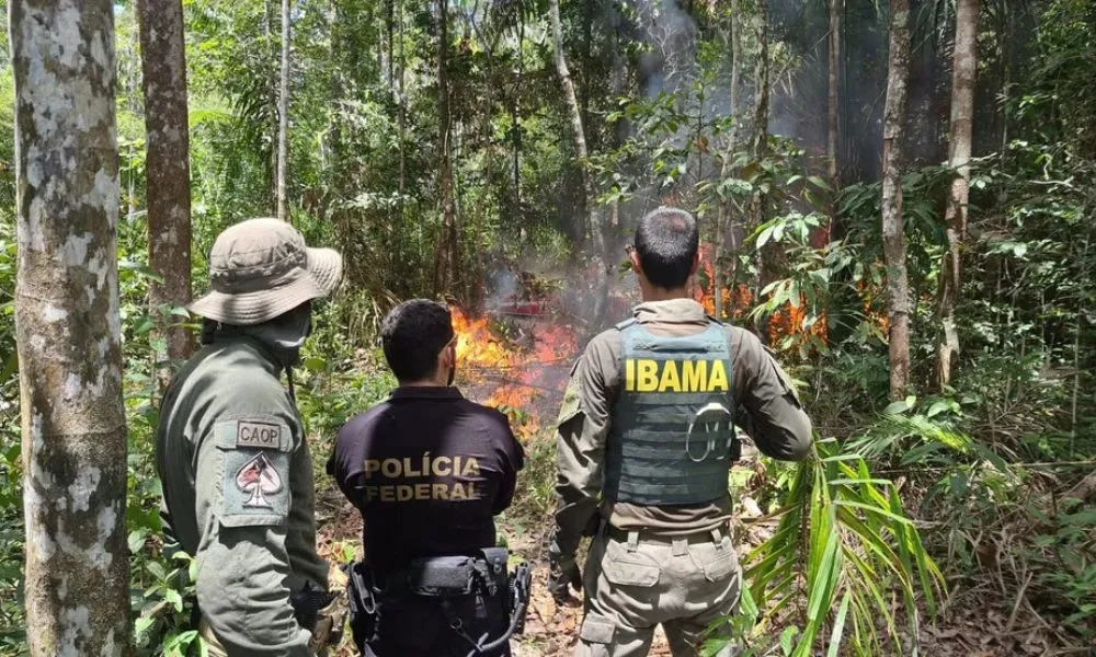 Imagem ilustrativa da imagem Ibama e PRF queimam avião e veículos usados por garimpo em área yanomami