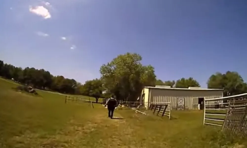 Imagem ilustrativa da imagem VÍDEO | Polícia nos EUA confunde berro de cabra com grito de socorro