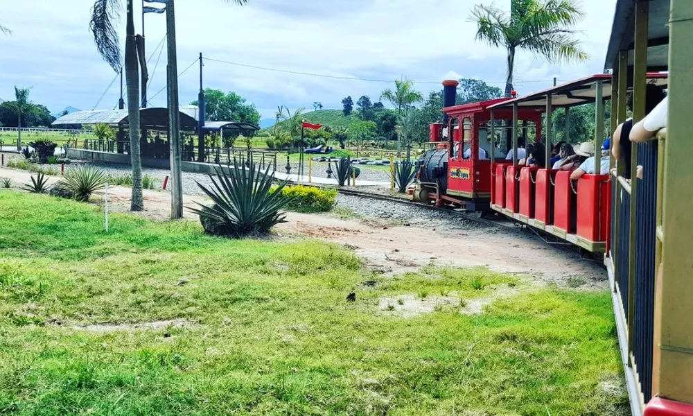 Imagem ilustrativa da imagem Caçadores na TV: Roteiros de Agroturismo na região rural de Vila Velha