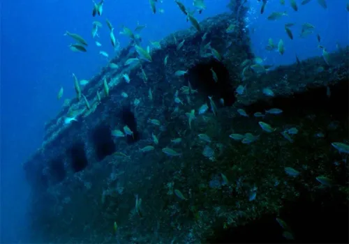 
          Imagem ilustrativa da imagem Mais de 50 praias e piscinas naturais em Guarapari
          