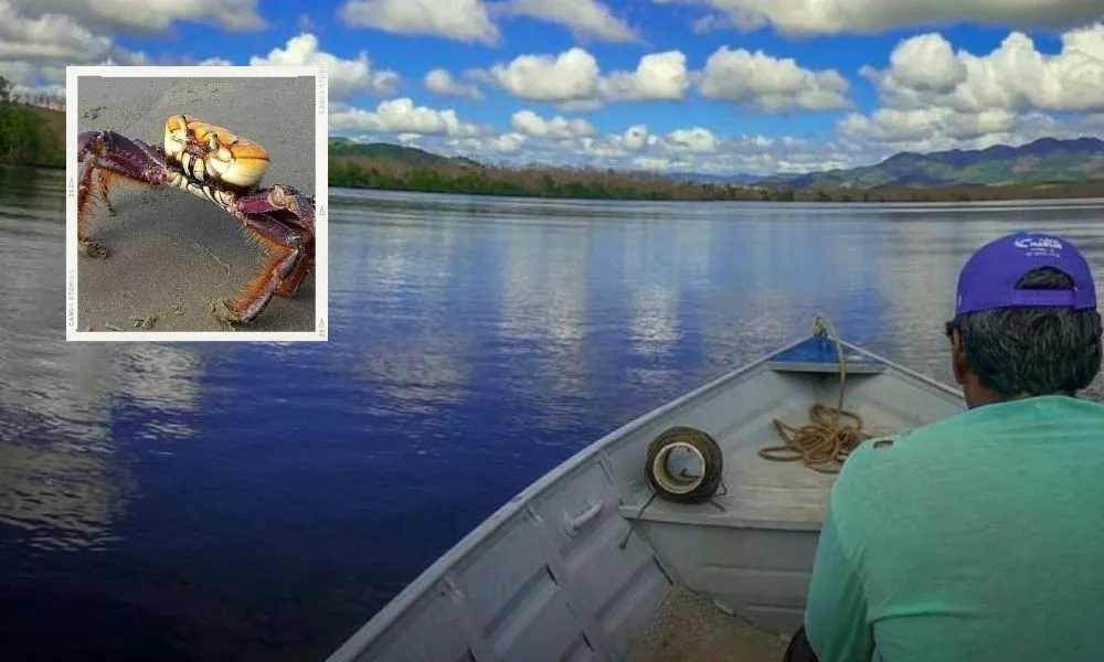 Imagem ilustrativa da imagem Ações em escolas e institutos do ES para proteger a natureza