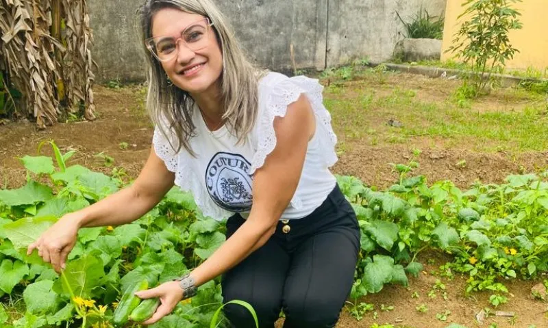 Imagem ilustrativa da imagem Alunos disputam prêmio com horta sustentável