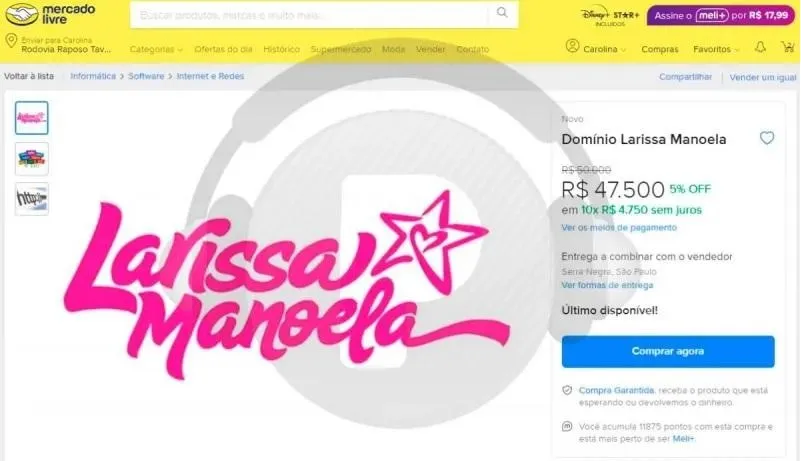 Imagem ilustrativa da imagem Domínio de site com nome de Larissa Manoela é vendido pelo diretor do Palmeiras