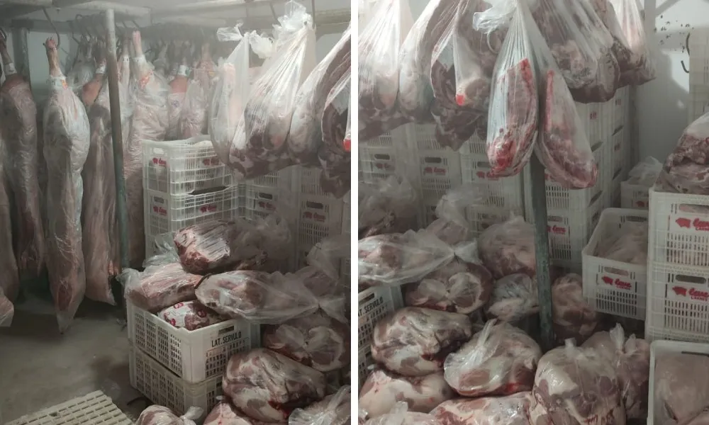 Imagem ilustrativa da imagem Empresário é preso e distribuidora clandestina de carnes é fechada em Vila Velha