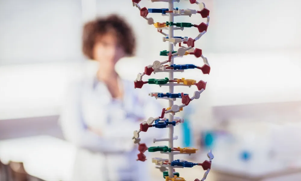 Imagem ilustrativa da imagem Mudança no DNA pode dar fim à anemia falciforme
