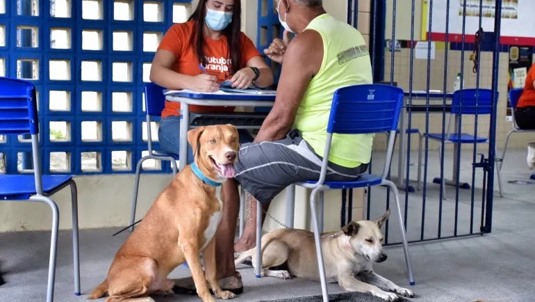 Imagem ilustrativa da imagem ONGs e pessoas que atuam com proteção animal terão apoio veterinário do Recife