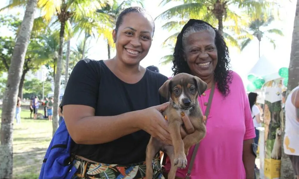 Imagem ilustrativa da imagem Paixão à 1ª vista entre famílias e pets em feira de adoção