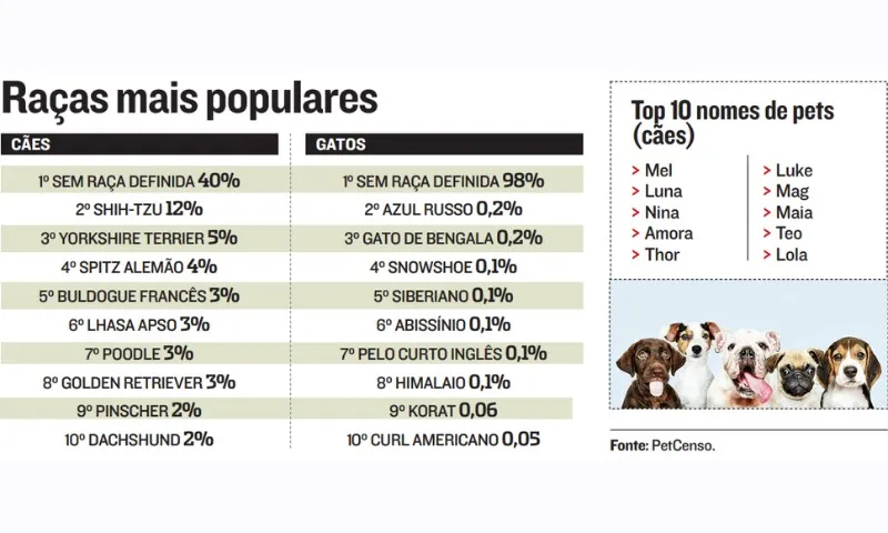 Pesquisa revela os nomes de cães e gatos mais comuns no Brasil em 2020