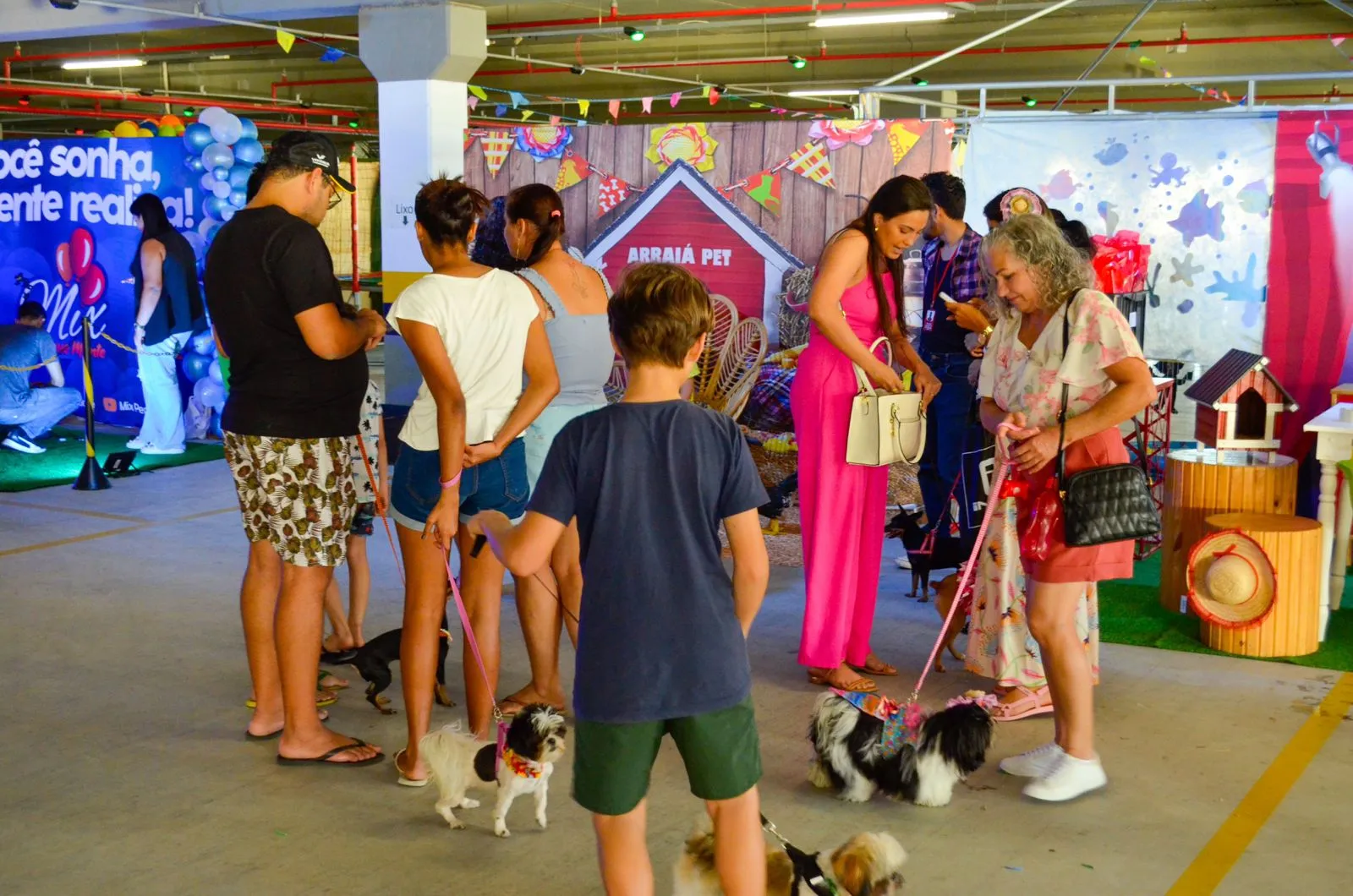 Imagem ilustrativa da imagem Prefeitura do ES faz "arraiá" para pets e leva até show da Patrulha Canina
