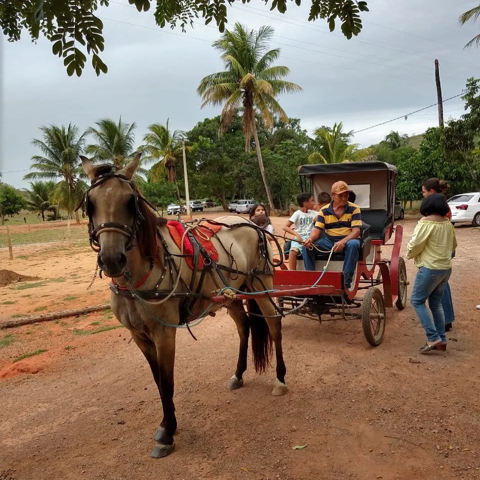 Imagem ilustrativa da imagem Seis circuitos para curtir o agroturismo na Serra