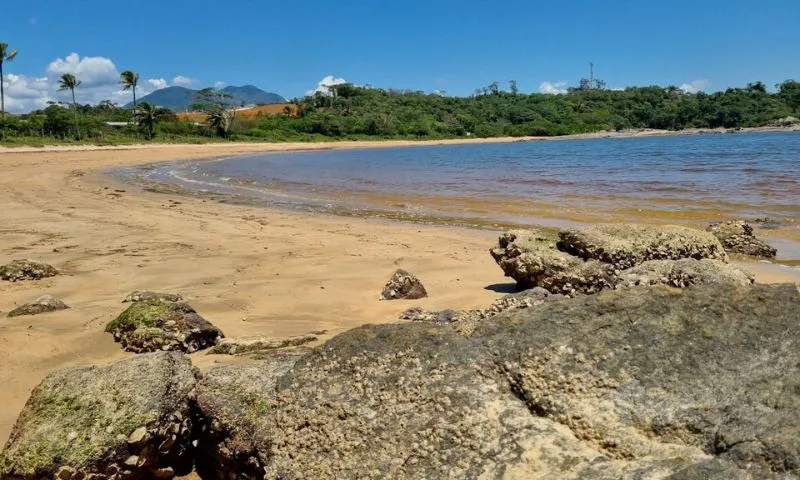 Imagem ilustrativa da imagem Três Praias com acesso liberado após 20 anos