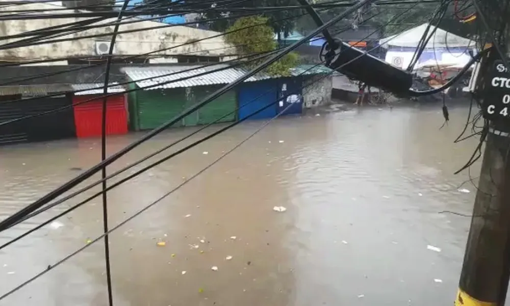 Imagem ilustrativa da imagem Chuva causa deslizamento de terra e alagamentos na BA