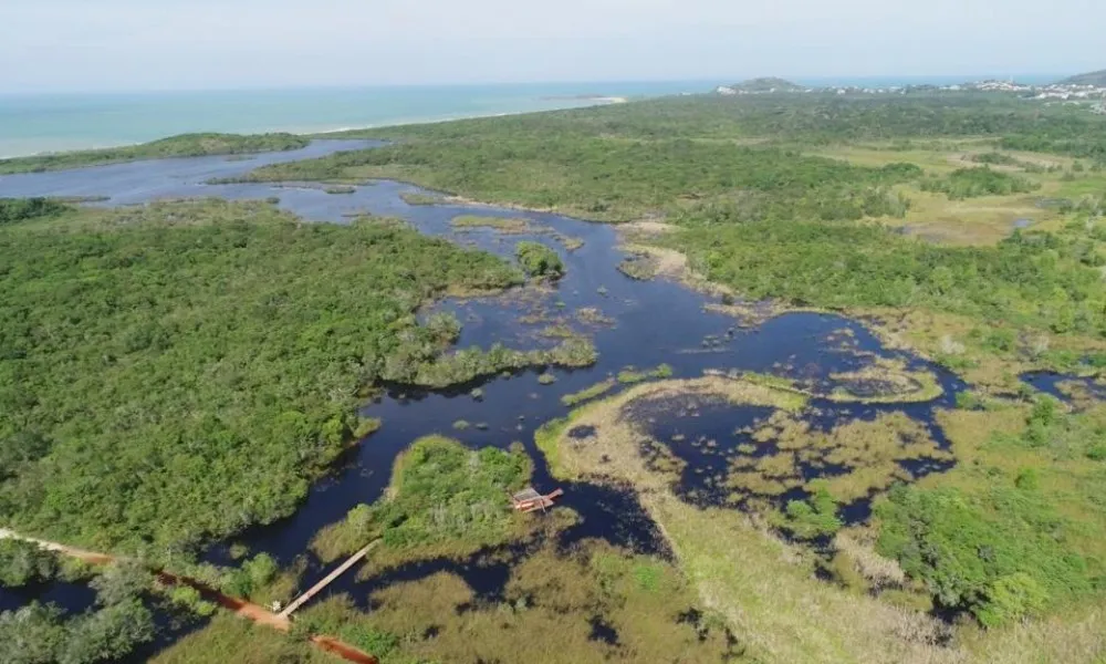 Imagem ilustrativa da imagem Parques capixabas vão receber investimentos privados nos próximos anos