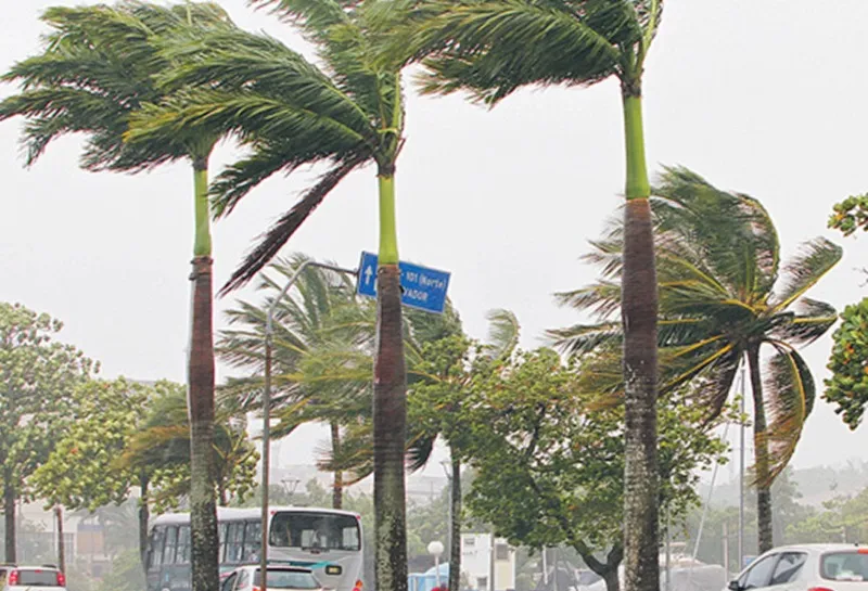 Imagem ilustrativa da imagem Alerta para queda de temperatura e ventos de até 60 km/h nesta quinta no ES