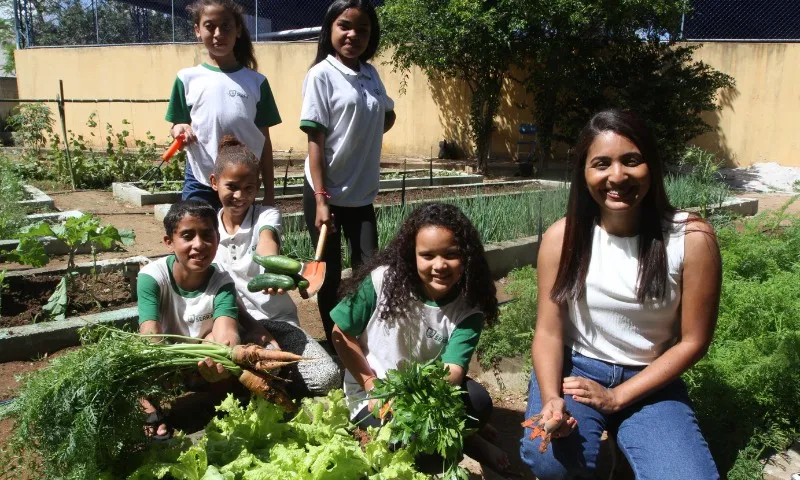 Imagem ilustrativa da imagem Alunos disputam prêmio com horta sustentável