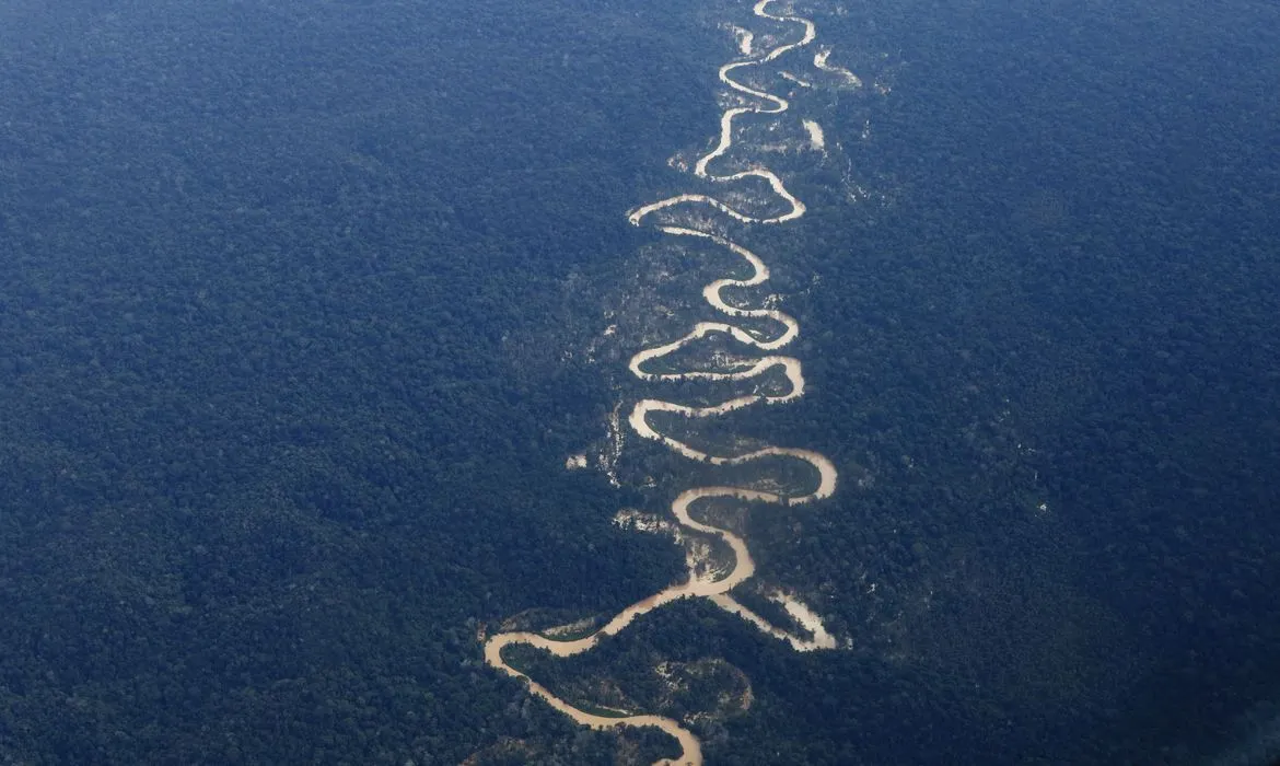 Imagem ilustrativa da imagem Ataque a tiros em aldeia yanomami mata criança e deixa cinco feridos