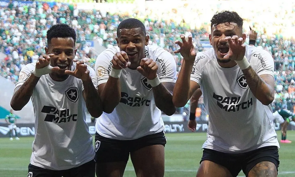 Imagem ilustrativa da imagem Botafogo vence Palmeiras em SP e dispara na liderança do Brasileiro
