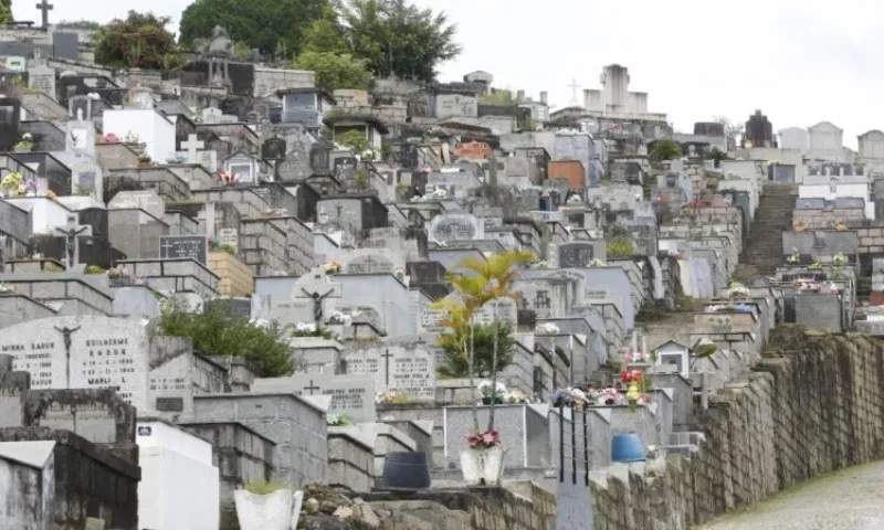 Imagem ilustrativa da imagem Cemitério é condenado por enterrar mulher em jazigo de outra família