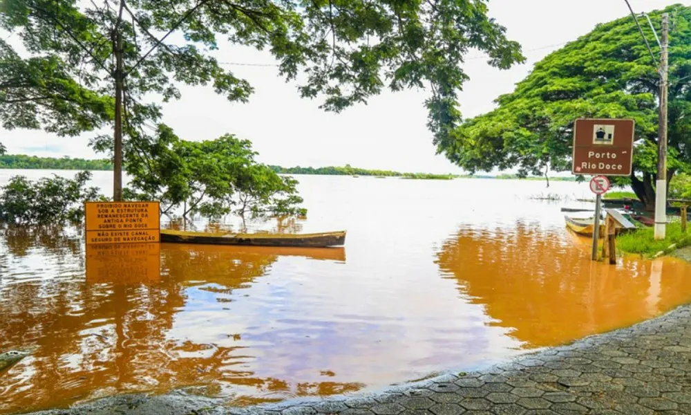 Imagem ilustrativa da imagem Empresa de saneamento denunciada por despejar esgoto sem tratamento no Rio Doce