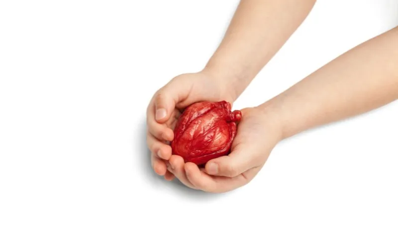 Imagem ilustrativa da imagem Entenda em 5 pontos o transplante de coração de Faustão