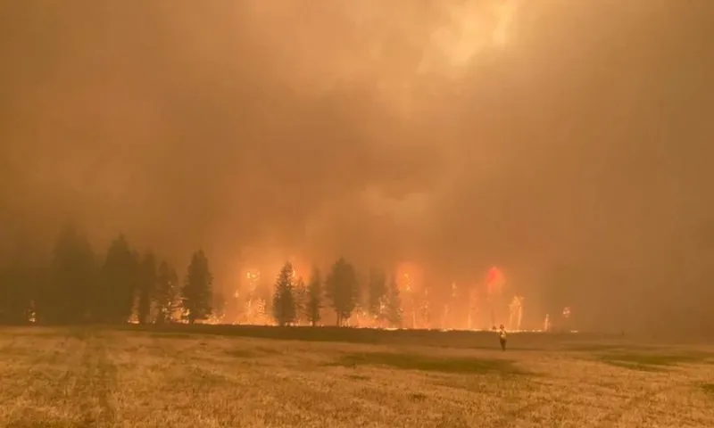 Imagem ilustrativa da imagem Incêndios florestais forçam retirada de 30 mil pessoas no Canadá