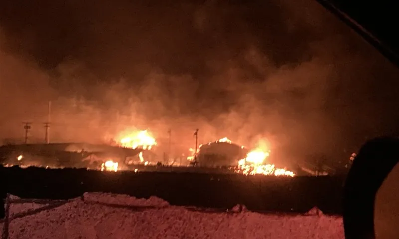 Imagem ilustrativa da imagem Incêndios florestais matam 6 no Havaí e forçam moradores a fugir pelo mar