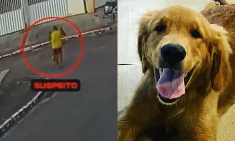 Imagem ilustrativa da imagem Justiça manda devolver arma a PM que atirou e matou cachorro em Guarapari