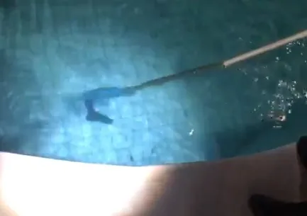 Imagem ilustrativa da imagem Ladrão que roubou farmácia no ES e jogou arma em piscina é condenado