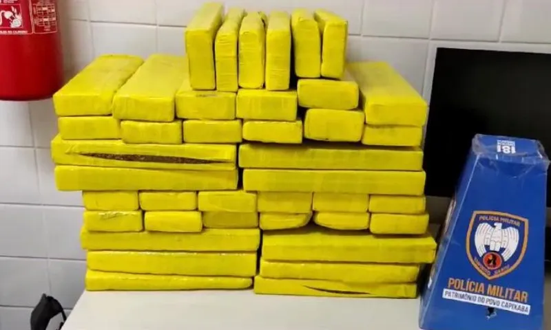 Imagem ilustrativa da imagem Polícia Militar apreende 60 tabletes de maconha em Nova Almeida