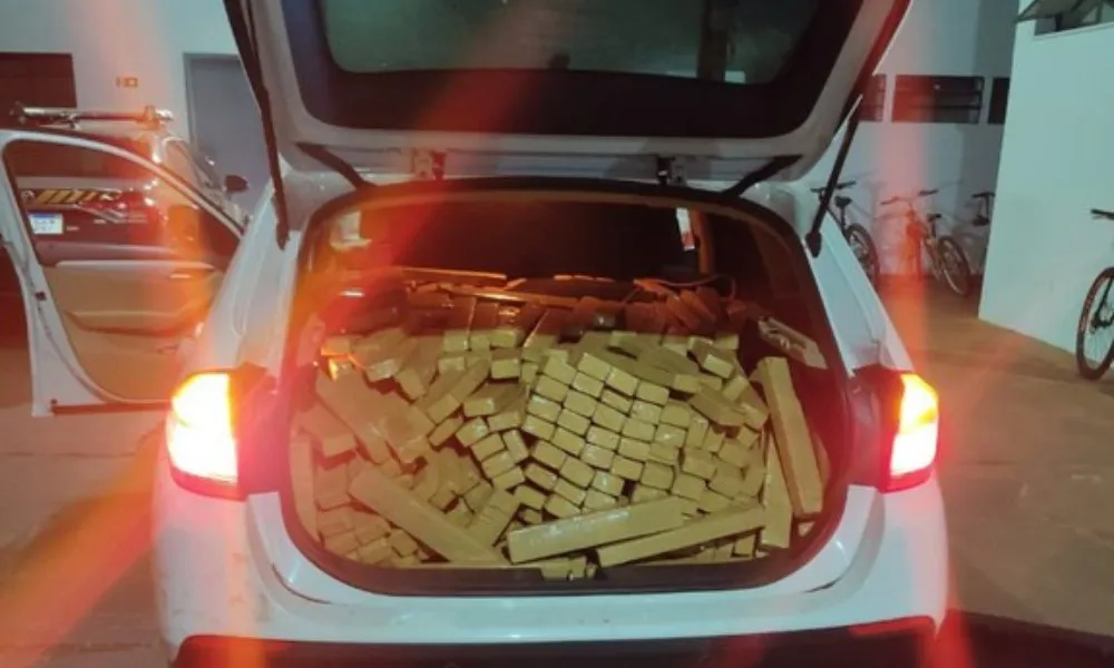 Imagem ilustrativa da imagem Polícia apreende 800 quilos de maconha em carro no MS