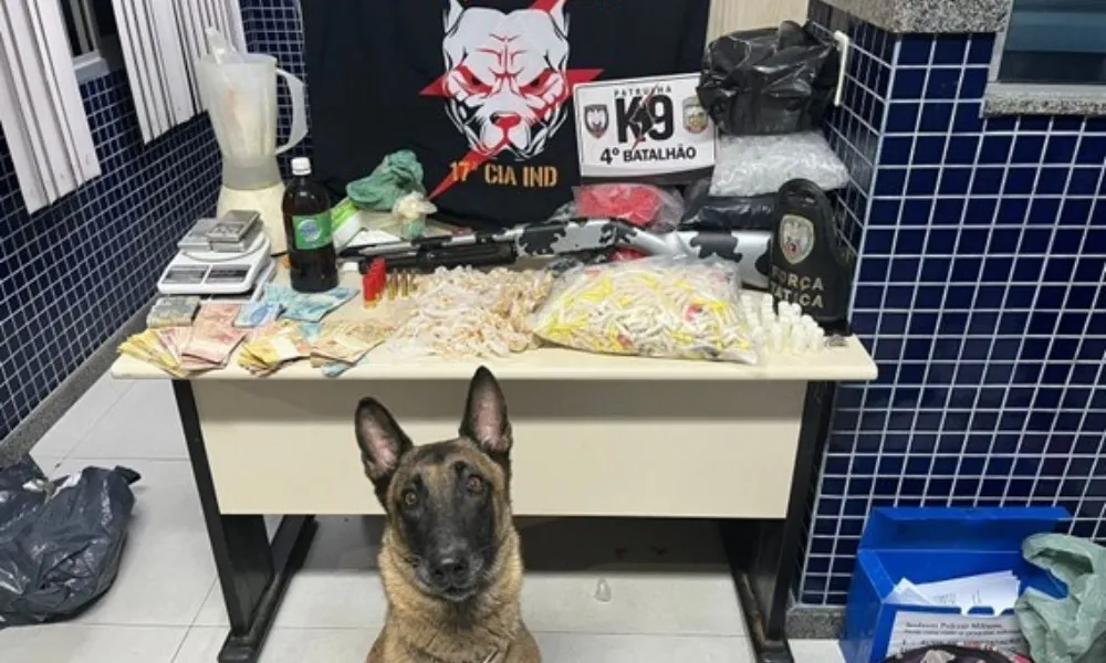 Imagem ilustrativa da imagem Polícia desativa laboratório de preparação de drogas em Vila Velha
