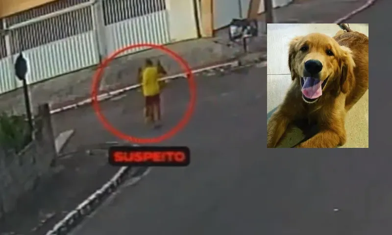 Imagem ilustrativa da imagem Vídeo mostra momento em que policial de MG atira em cachorro em rua de Guarapari