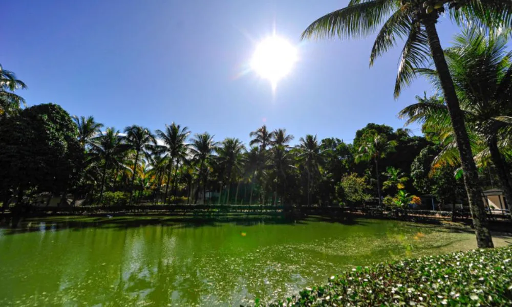 Imagem ilustrativa da imagem Parque de Jardim Camburi é reaberto à visitação pública