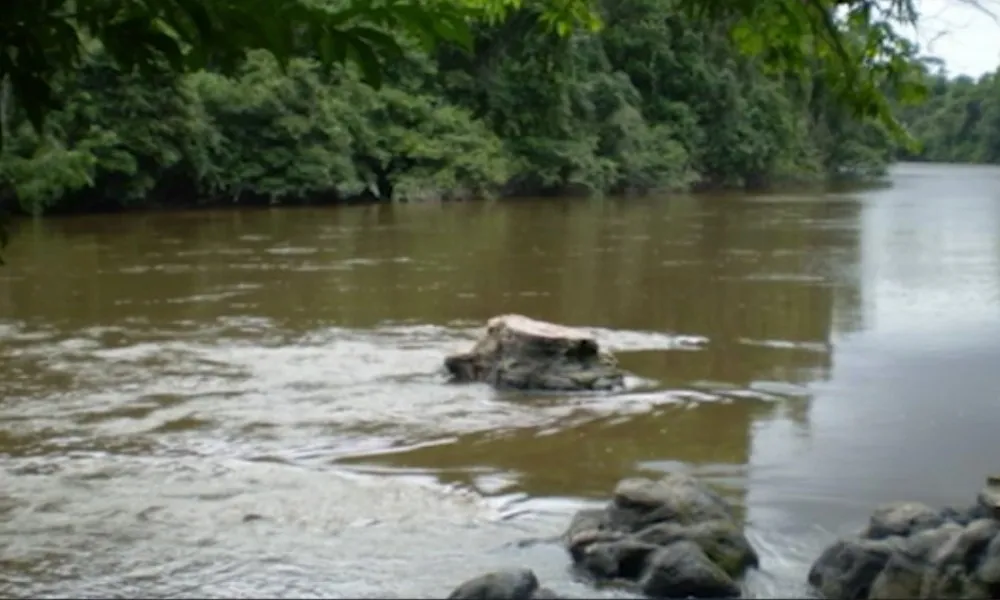 Imagem ilustrativa da imagem Advogado do ES está desaparecido após bote tombar em rio no Amazonas