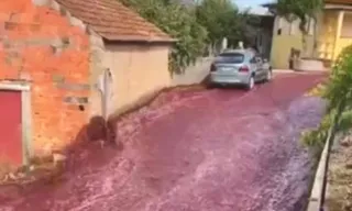 Imagem ilustrativa da imagem VÍDEO | 'Rio de vinho' inunda cidade em Portugal após acidente em destilaria