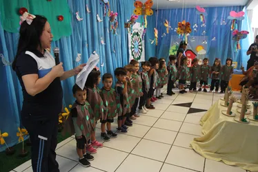 Imagem ilustrativa da imagem Ações em escolas e institutos do ES para proteger a natureza