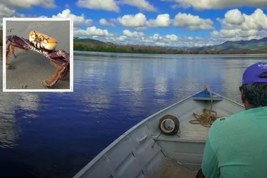 Imagem ilustrativa da imagem Ações em escolas e institutos do ES para proteger a natureza